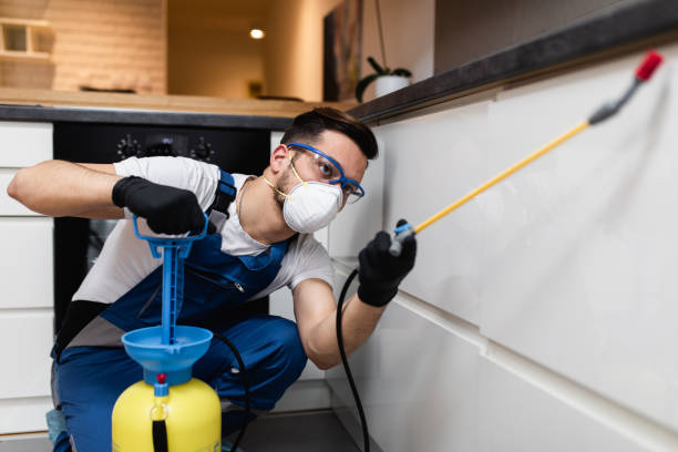 Best Wasp Removal Services  in Lennox, SD