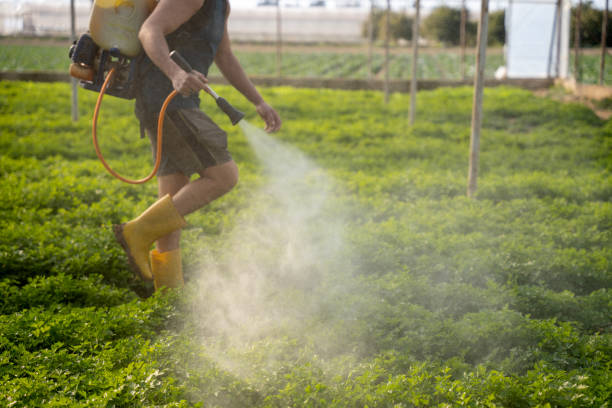 Best Mosquito Control Services  in Lennox, SD