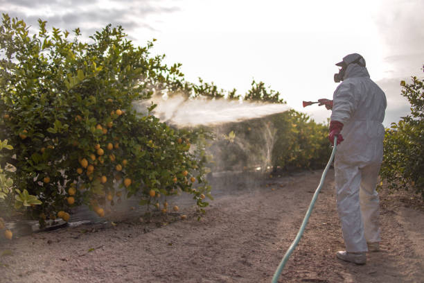 Best Pest Inspection Near Me  in Lennox, SD