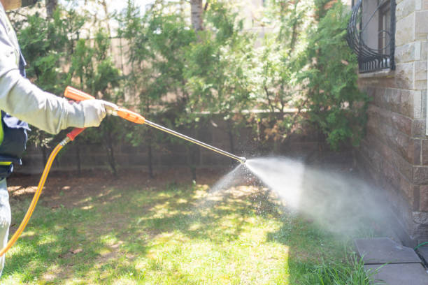 Best Flea Control Services  in Lennox, SD