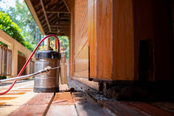 Best Affordable Pest Control Services  in Lennox, SD