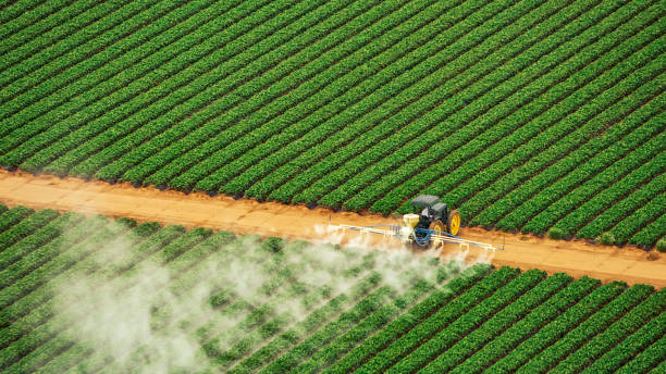Best Pest Removal Services  in Lennox, SD