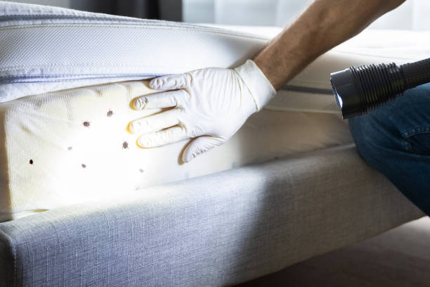 Best Pest Prevention Services  in Lennox, SD