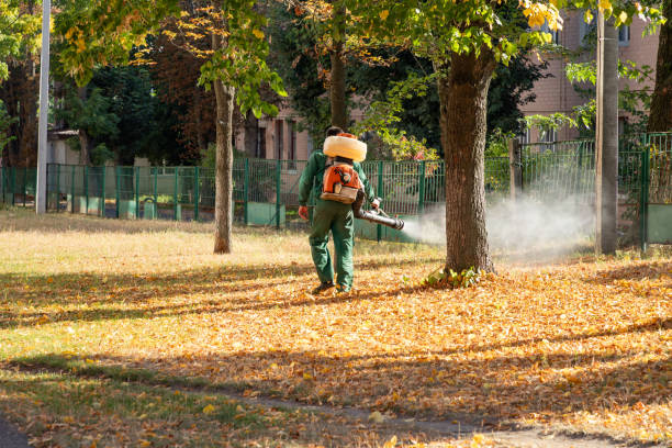 Best Affordable Pest Control Services  in Lennox, SD
