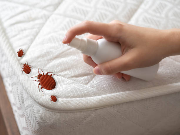 Best Residential Pest Control  in Lennox, SD