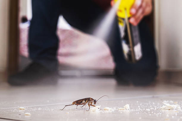 Best Emergency Pest Control  in Lennox, SD