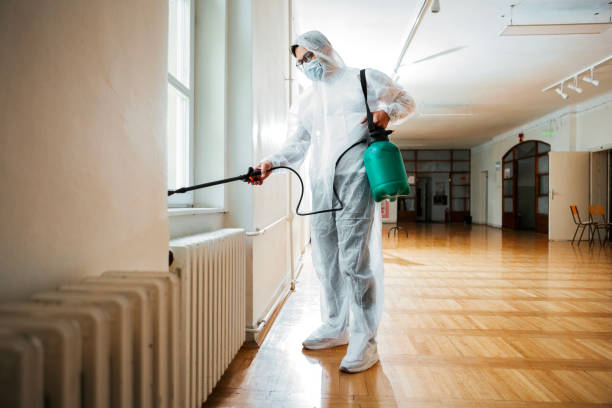Best Termite Control Services  in Lennox, SD