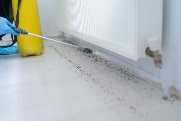 Best Cockroach Control Services  in Lennox, SD