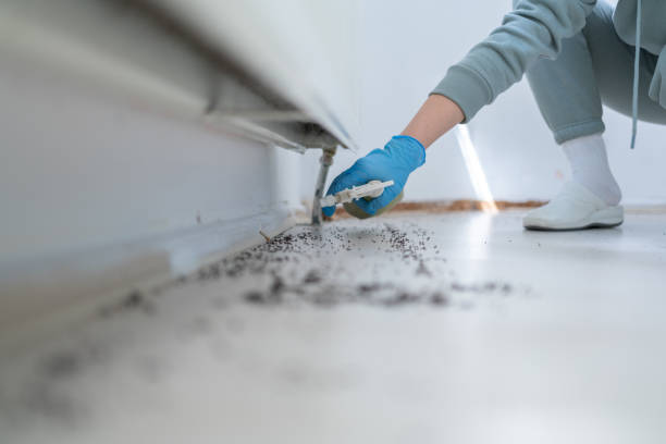 Best Local Pest Control Services  in Lennox, SD