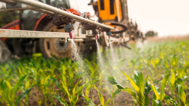 Professional Pest Control in Lennox, SD